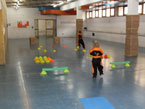 corso tigers